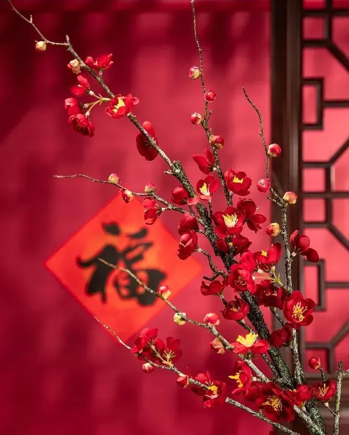 辭舊迎新，兔年納福，心懷熱愛(ài)，共赴山海！